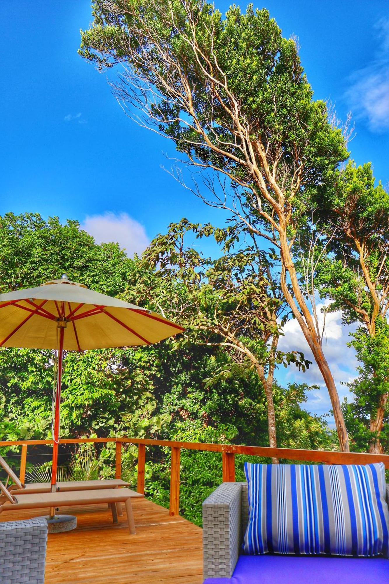 Blue Whale Villa Calibishie Exterior foto